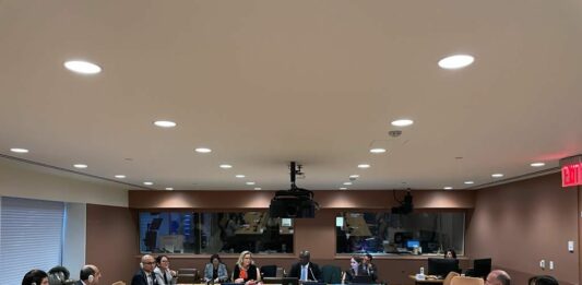 El Gobierno argentino criticó en la Organización de las Naciones Unidas (ONU) el despliegue de soldados en las islas Malvinas.
