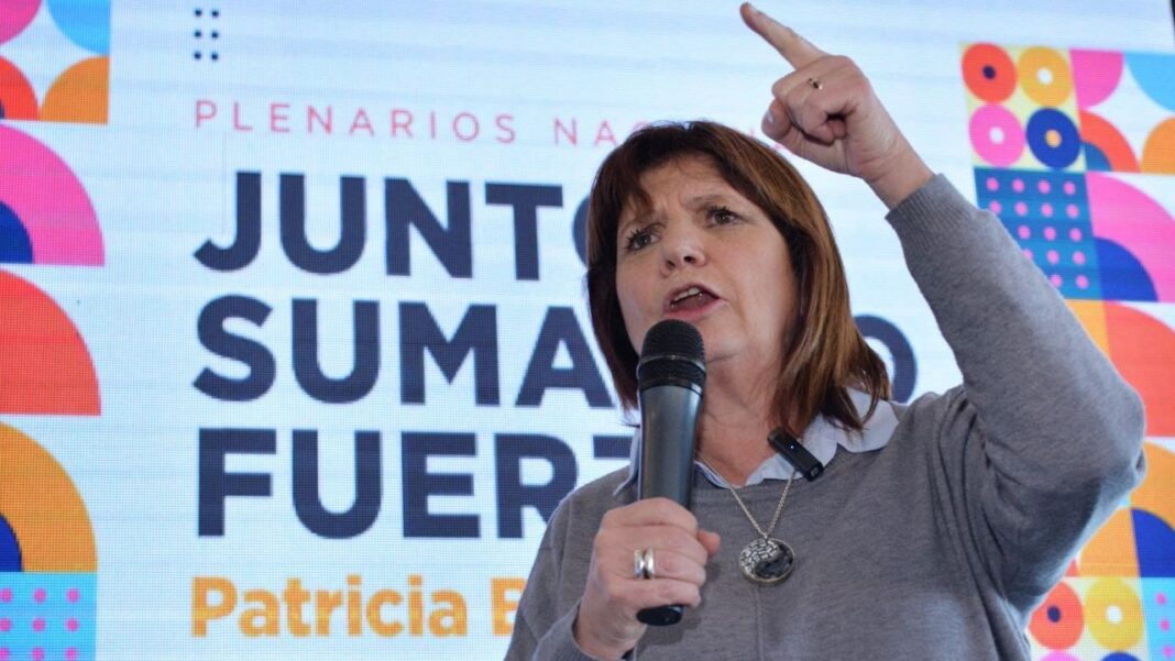 Luego de que De la Torre arengará para que Larreta baje su candidatura presidencial, Patricia Bullrich se diferenció de los dichos del senador provincial.