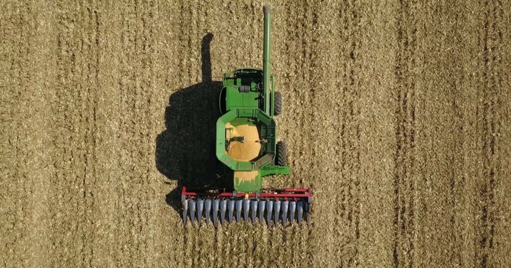 El impacto de la sequía sigue acumulando pérdidas para el campo, en particular en la cosecha de soja, que se redujo a la mitad.