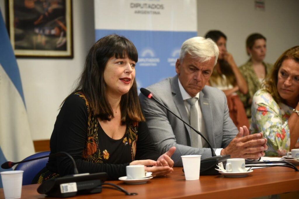 La titular de la Comisión de Juicio Político de la Cámara de Diputados, Carolina Gaillard, dijo que avanzarán con el pedido del oficialismo.