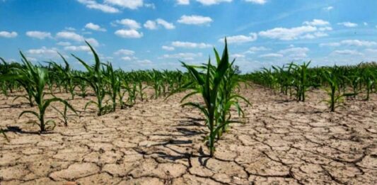 En el octavo año de mayor sequía, el fenómeno climático La Niña disminuyó los niveles de precipitación en 2022.