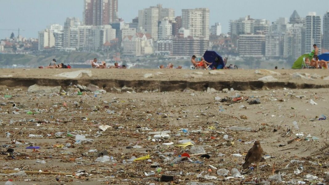 Como en todas las temporadas de verano, la contaminación en las playas es un tema que enciende alarmas en vecinos y residentes de Mar del Plata. ¿Qué hacer?