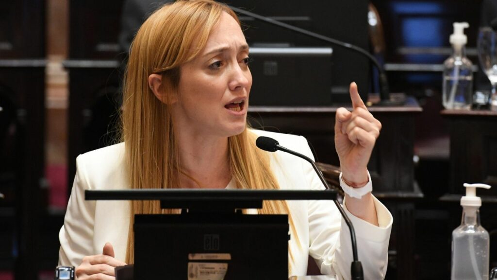 Anabel Fernández Sagasti fue una de las que se sentó en la mesa política del Frente de Todos. 