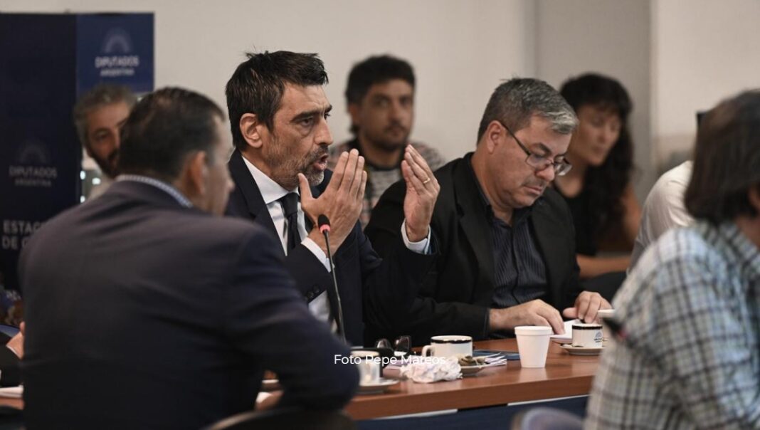 Diputados Juicio a la Corte