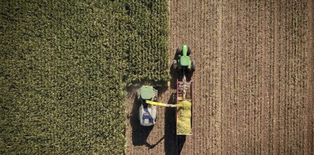 La consultora AZ-Group alertó “perdidas masivas” por USD 900 millones en los cultivos de trigo producto de la bestial sequía que azoto el territorio nacional.