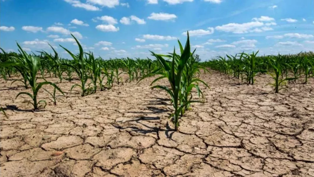 El Gobierno nacional destinará $70.000 millones para asistir y ayudar a los productores del campo afectados por la sequía.
