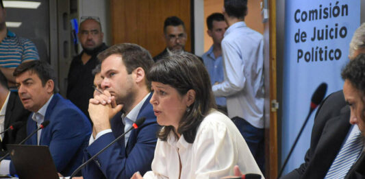 Los legisladores del Frente de Todos de la Cámara de Diputados se mostraron satisfechos con los primeros pasos del proceso de juicio a la Corte.