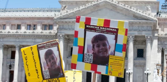 A través del Boletín Oficial, el Gobierno nacional promulgó la ley de alcohol cero al volante y la ley Lucio.