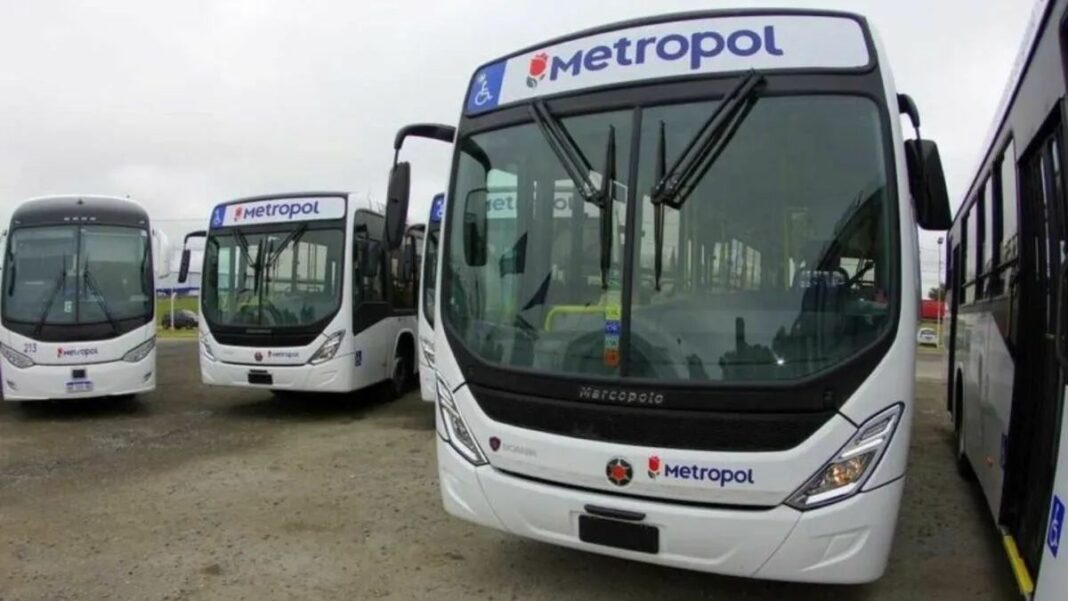colectivos-metropoljpg