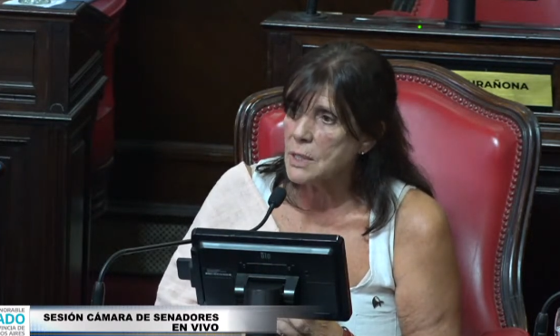La senadora Teresa García afirmó que hay sectores negacionistas que intentan debilitar la democracia.