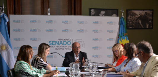 senado bonaerense autonomía municipal