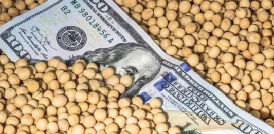 El Gobierno nacional estudia implementar el dólar soja 3 para cubrir la falta de dólares por la sequía.