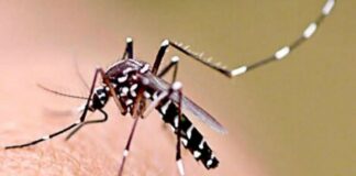 El ministro de Salud de la Provincia aseguró que la Argentina atraviesa la epidemia de dengue más grande de la historia.