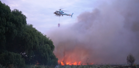 La Defensa Civil bonaerense pidió extremar las medidas de cuidado ante el riesgo de incendios debido a la ola de calor.