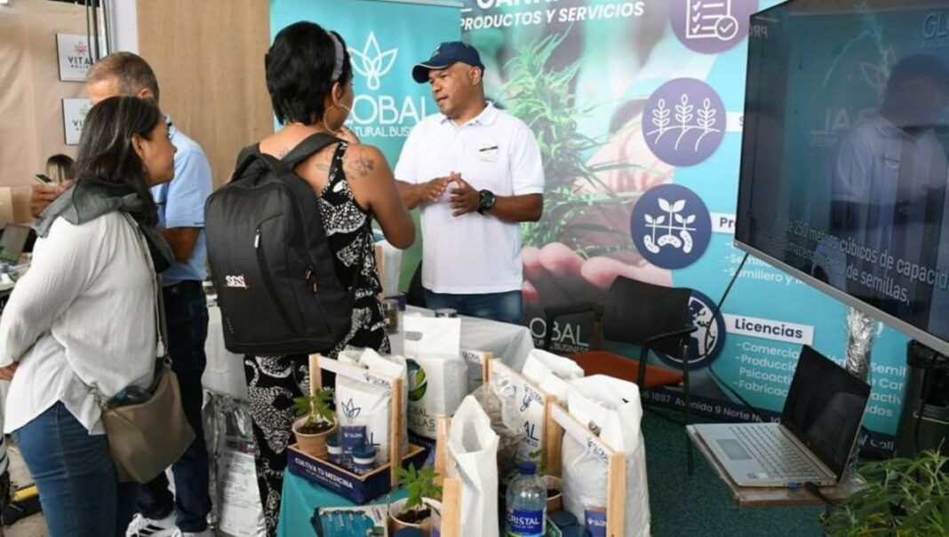 Este viernes comienza la primera Cumbre Internacional de Cannabis y Cáñamo en Mar del Plata.