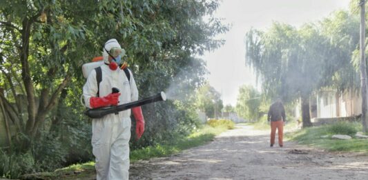 El Gobierno provincial notificó 1.123 casos de dengue autóctonos en 15 municipios bonaerenses.