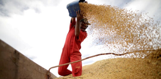 Massa anunciará la implementación del dólar agro, un programa con un tipo de cambio diferencial para el sector agroindustrial.