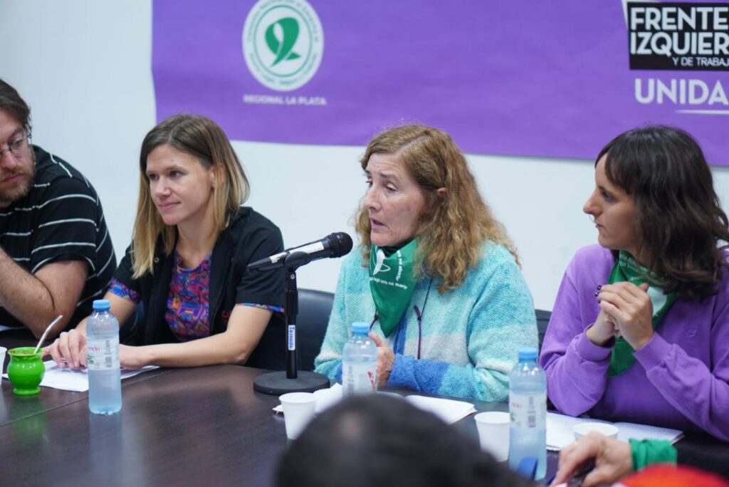 El Frente de Izquierda presentó un pedido de informes pro la implementación del aborto legal.