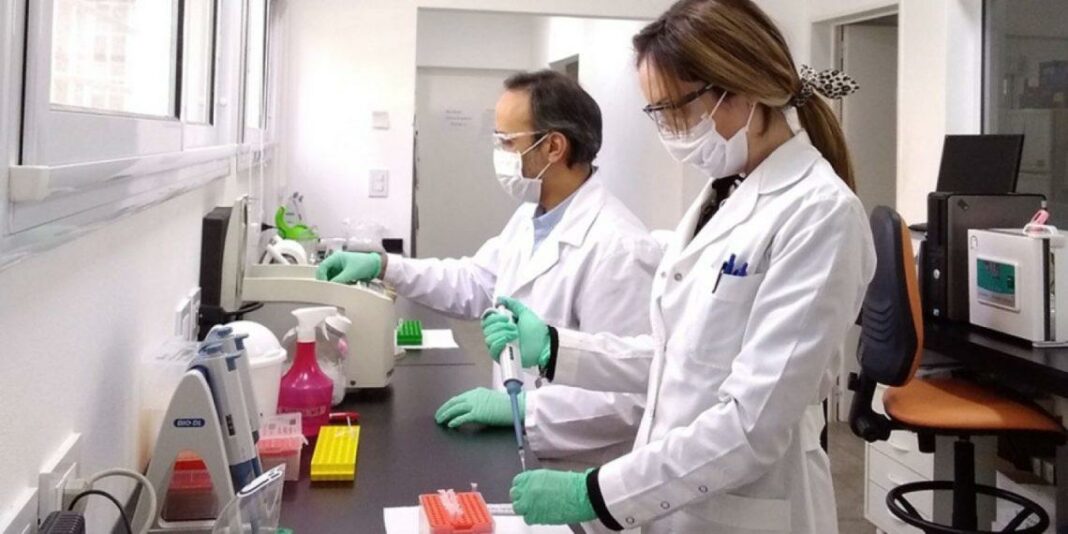 investigadores conicet