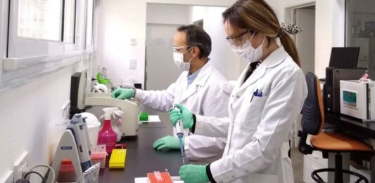 investigadores conicet