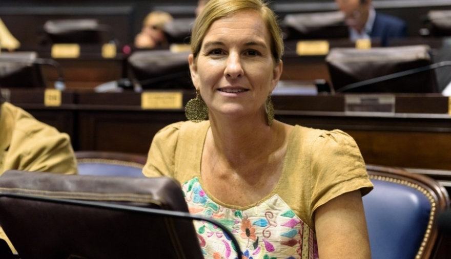 Luciana Padulo es la autora del proyecto de Creación del Programa Provincial de Cuidado Integral de menores con cáncer.