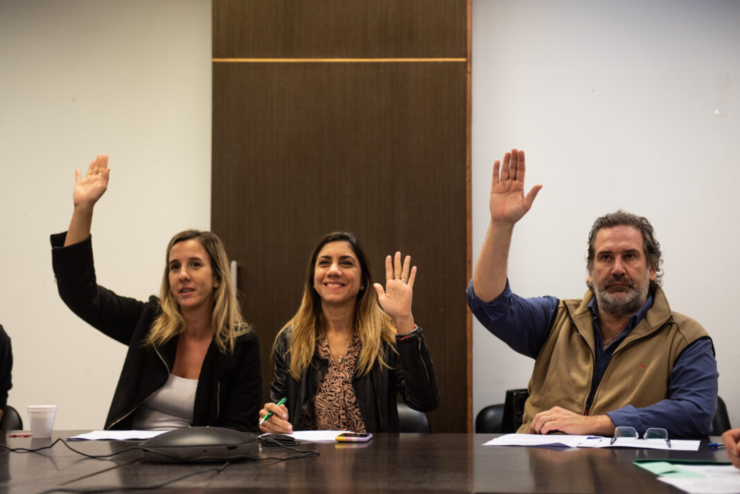 E proyecto impulsado por la diputada Luciana Padulo ya cuenta con dictamen favorable de las comision de Niñez, Adolescencia y Familia.