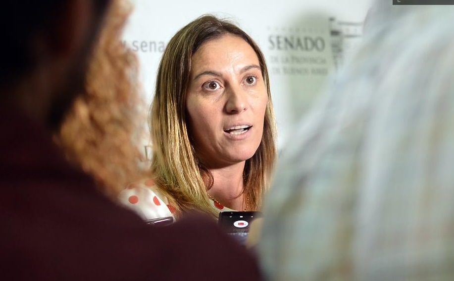 La senadora del Frente Renovador por la Cuarta sección, Valeria Arata.