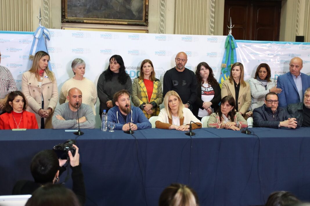 Con el lema “amor por la patria”, legisladores bonaerenses del oficialismo llamaron a votar por la fórmula Massa-Rossi.