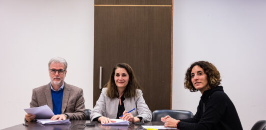 Diputados comisiones