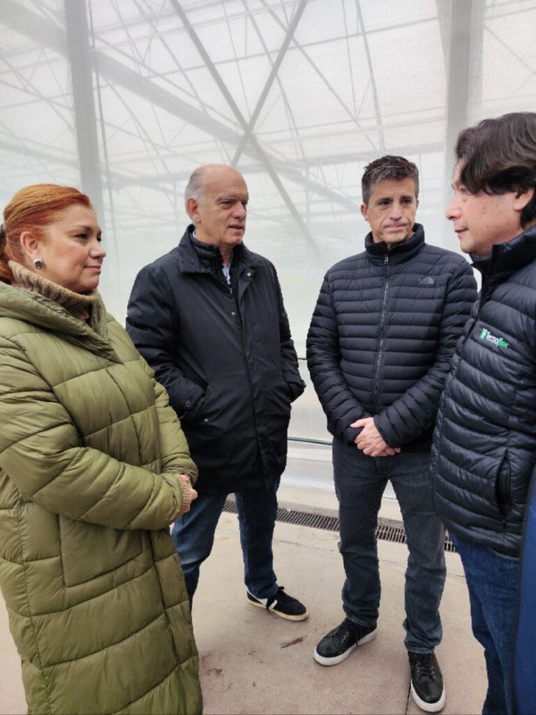 Los precandidatos a gobernador e intendente, Juan Pablo Allan y Néstor Grindetti, recorrieron el cinturón frutihortícola de La Plata.