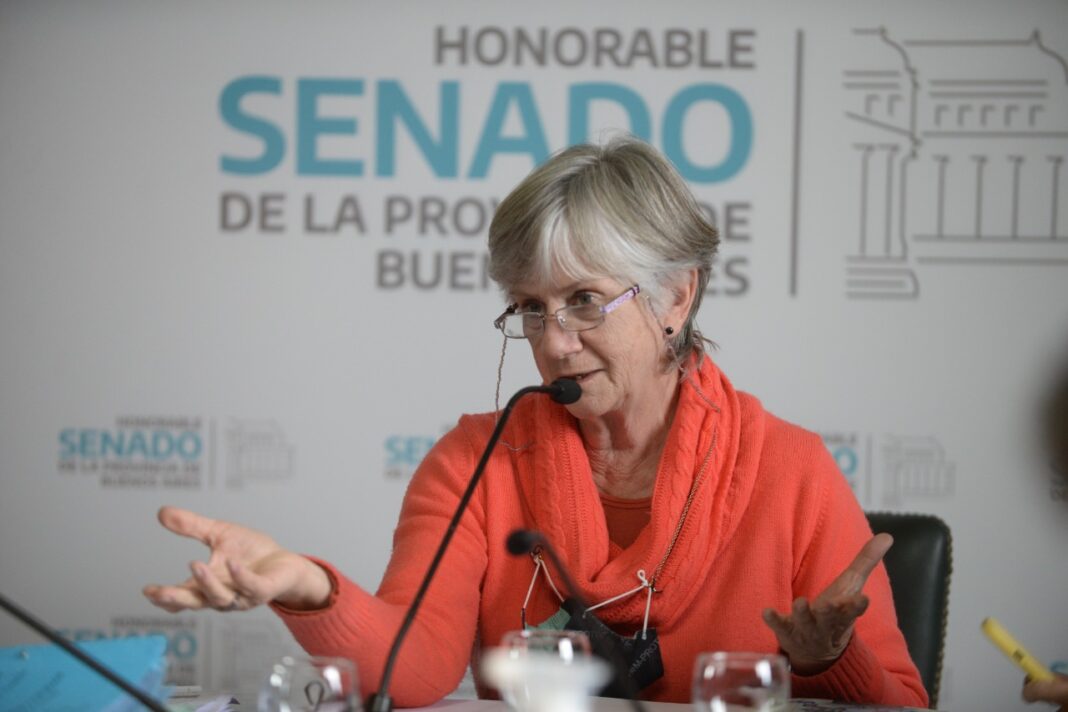 La senadora bonaerense, María Reigada aseguró que el gasoducto Néstor Kirchner no se podría haber logrado sin enfrentar al FMI