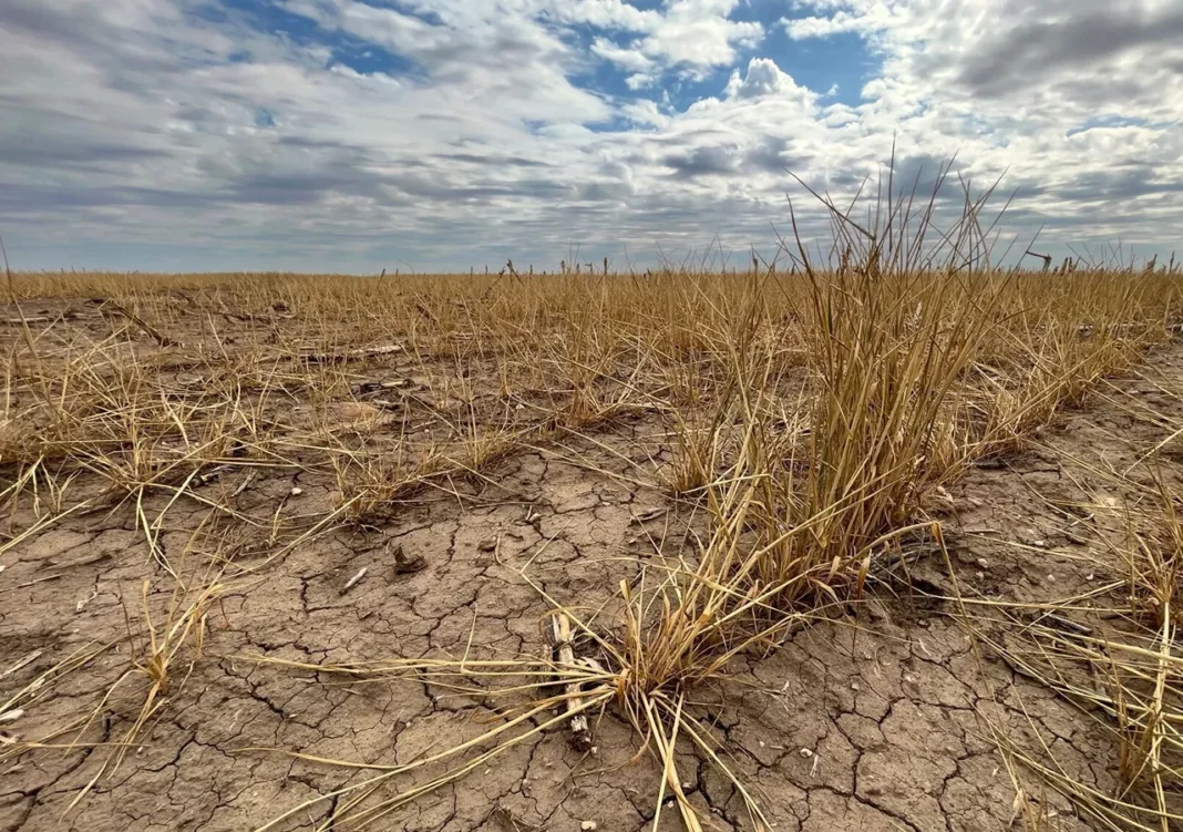 La emergencia agropecuaria llegó a cinco nuevos municipios bonaerenses y ya suman más de 70.