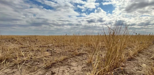 La emergencia agropecuaria llegó a cinco nuevos municipios bonaerenses y ya suman más de 70.