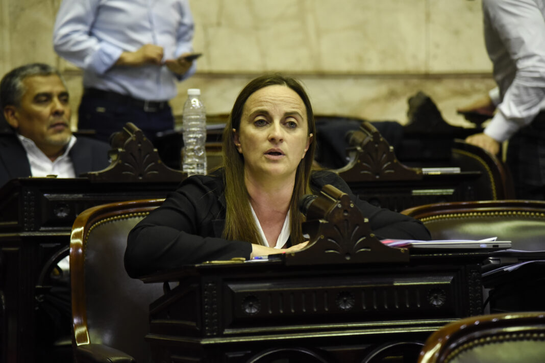 Una diputada nacional massista envió un proyecto de ley para prohibir la venta del CONICET, una de las polémicas propuestas de Javier Milei.