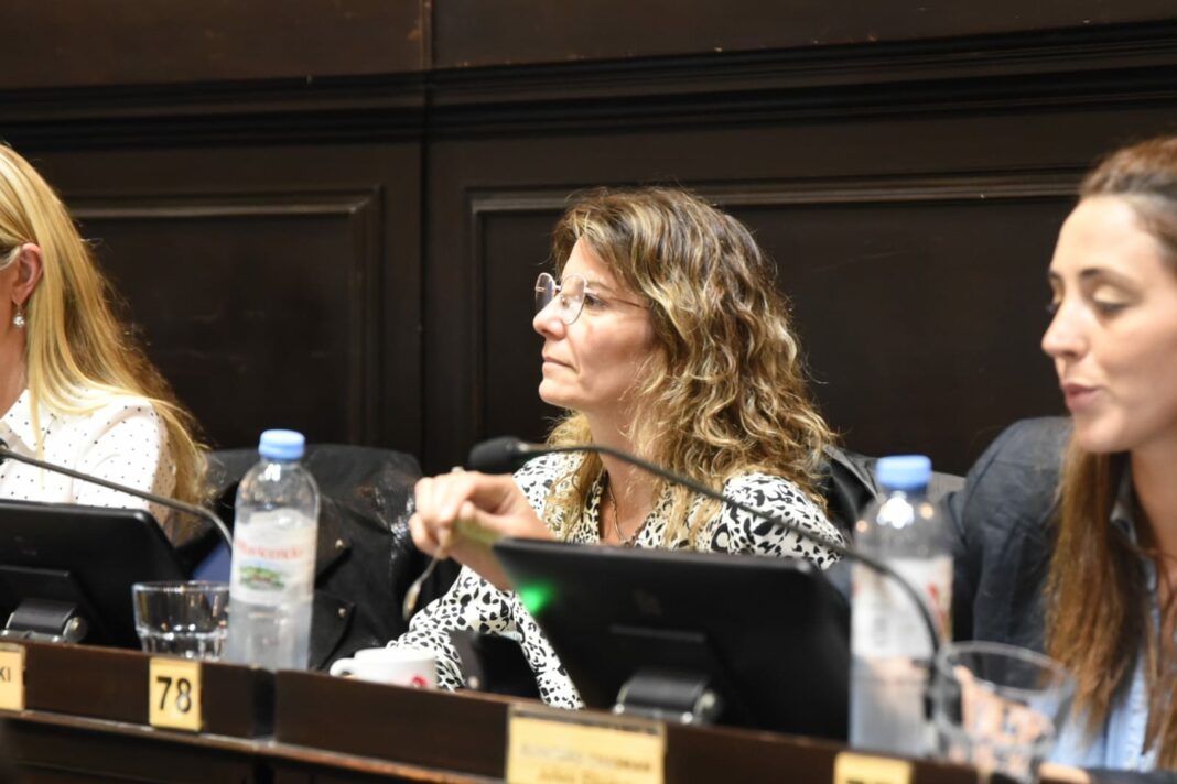 La diputada del GEN, Natalia Dziakowski, se refirió al rechazo que tuvo su proyecto para aumentar mensualmente el Servicio Alimentario Escolar.