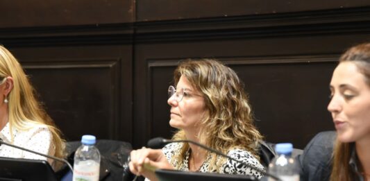 La diputada del GEN, Natalia Dziakowski, se refirió al rechazo que tuvo su proyecto para aumentar mensualmente el Servicio Alimentario Escolar.