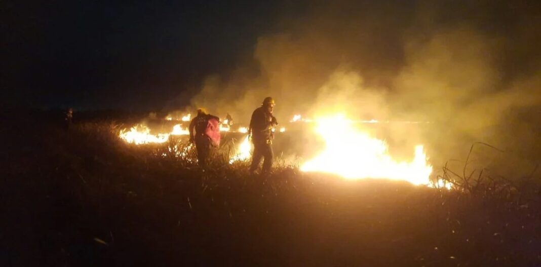 La dotación de Bomberos voluntarios de la Reserva Natural de Punta Lara, de Ensenada, continúa el trabajo para sofocar el incendio este domingo.