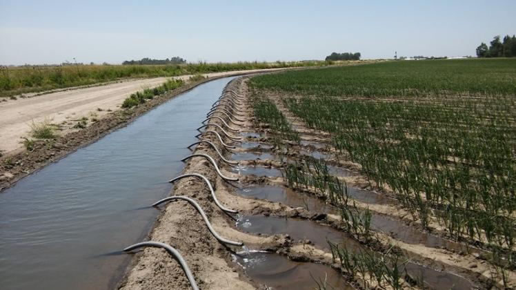 La CORFO Río Colorado multó por $18.009.468 a diez productores agropecuarios por extraer agua en exceso para regar sus cultivos.