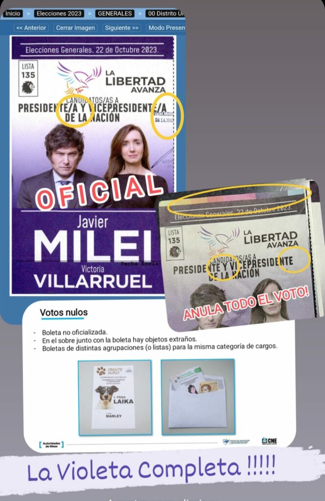 La denuncia de Carrancio sobre las boletas de Milei adulteradas y repartidas por Juntos por el Cambio en Mar del Plata