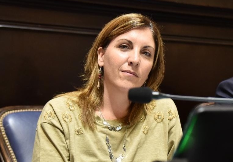 La diputada libertarai, Constanza Moragues, mostró su desacuerdo con el proyecto de ley de “renuncia de la paternidad”.