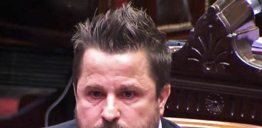 Martín Tetaz consideró que algunas de las propuestas que pretende llevar a cabo Milei no se podrán realizar por la falta de respaldo en el Congreso.