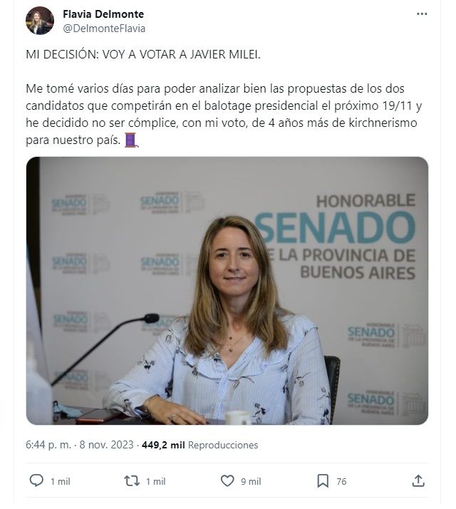 El posteo de la senadora radical, Flavia Delmonte, que votará a Javier Milei.