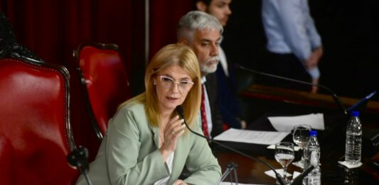 Magario sostuvo que ya tienen los votos del PRO, la UCR y los libertarios para la aprobación de la Ley Impositiva y el pedido de endeudamiento.