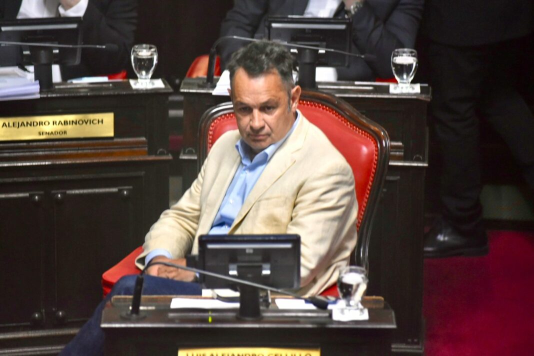El senador bonaerense de la UCR, Alejandro Cellillo, celebró el “rápido accionar” del Gobierno de la provincia de Buenos Aires, en el municipio de Bahía Blanca.