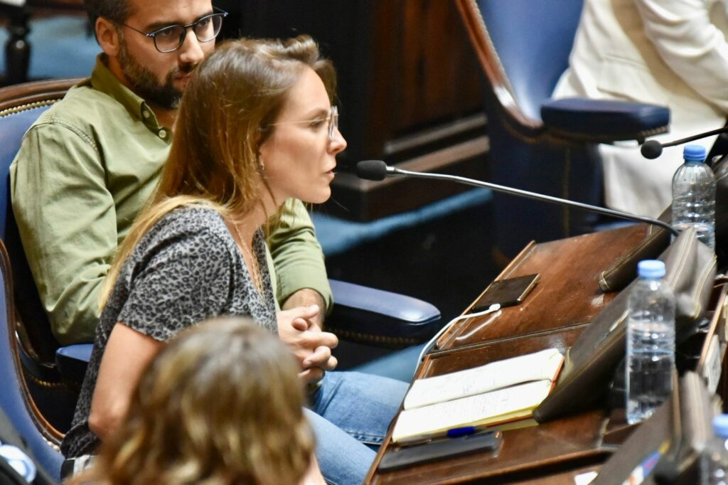 Diputados convirtió en ley el fondo de asistencia para Bahía Blanca por el temporal