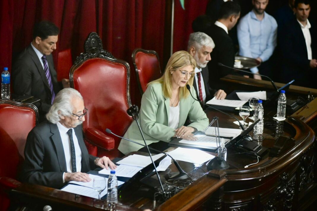 En la sesión de este miércoles, el Senado bonaerense aprobó un programa de asistencia destinado a los afectados por el temporal en Bahía Blanca.