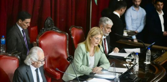 En la sesión de este miércoles, el Senado bonaerense aprobó un programa de asistencia destinado a los afectados por el temporal en Bahía Blanca.