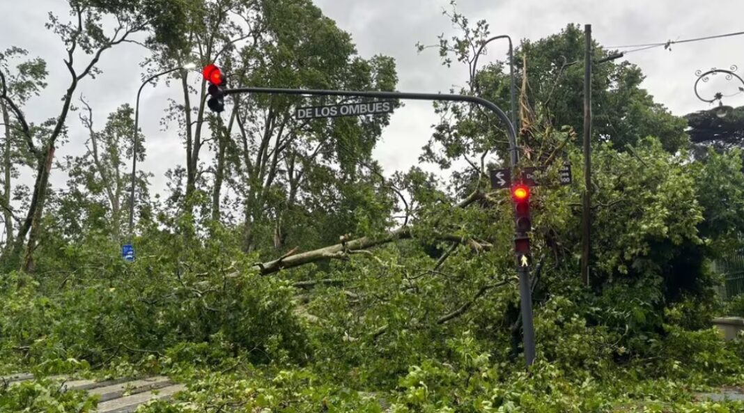 El temporal que dejó 13 muertos en Bahía Blanca, también azotó a una decena de municipios del Gran Buenos Aires. El reporte.