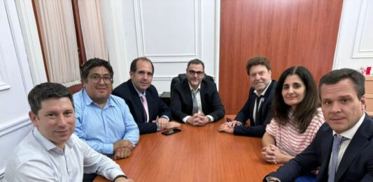 radicalismo fractura diputados