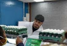 En los últimos 9 meses, más de 43 mil negocios se sumaron a Cuenta DNI, lo que duplicó la cantidad de comercios que utilizan la app de cobros de Banco Provincia.
